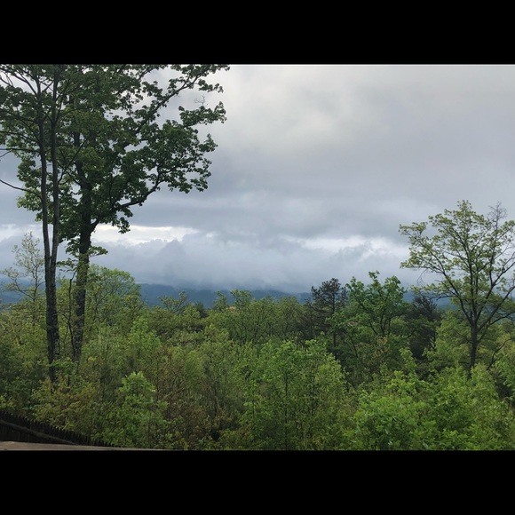 Meet your Posher, Sonya - Picture 1 of 1